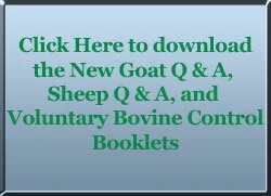 New! The Cost of Johne's Disease to Dairy Producers Brochure